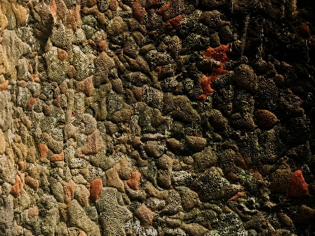 Kauri bark artwork