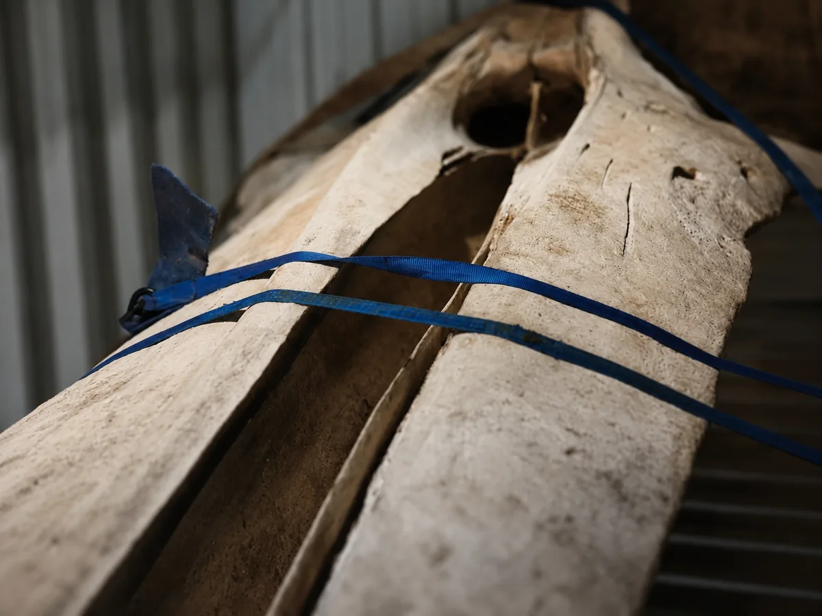 Whale bone artwork