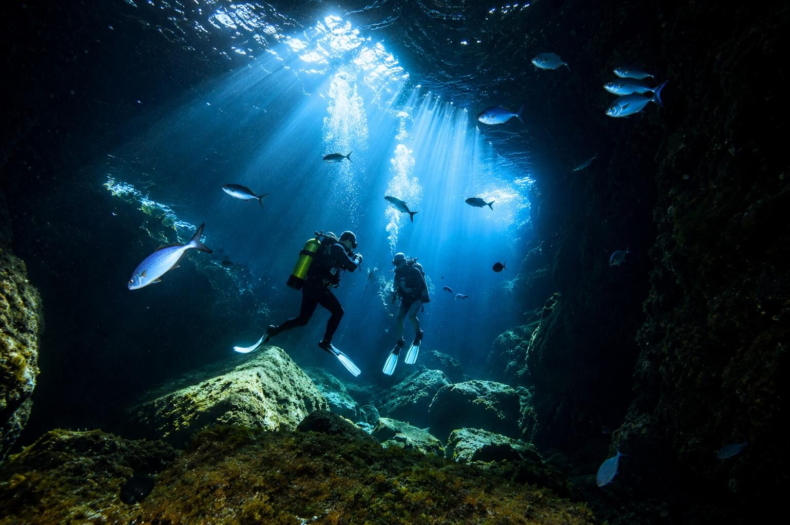 Divers exploring a sunlit cave, Poor Knights Islands