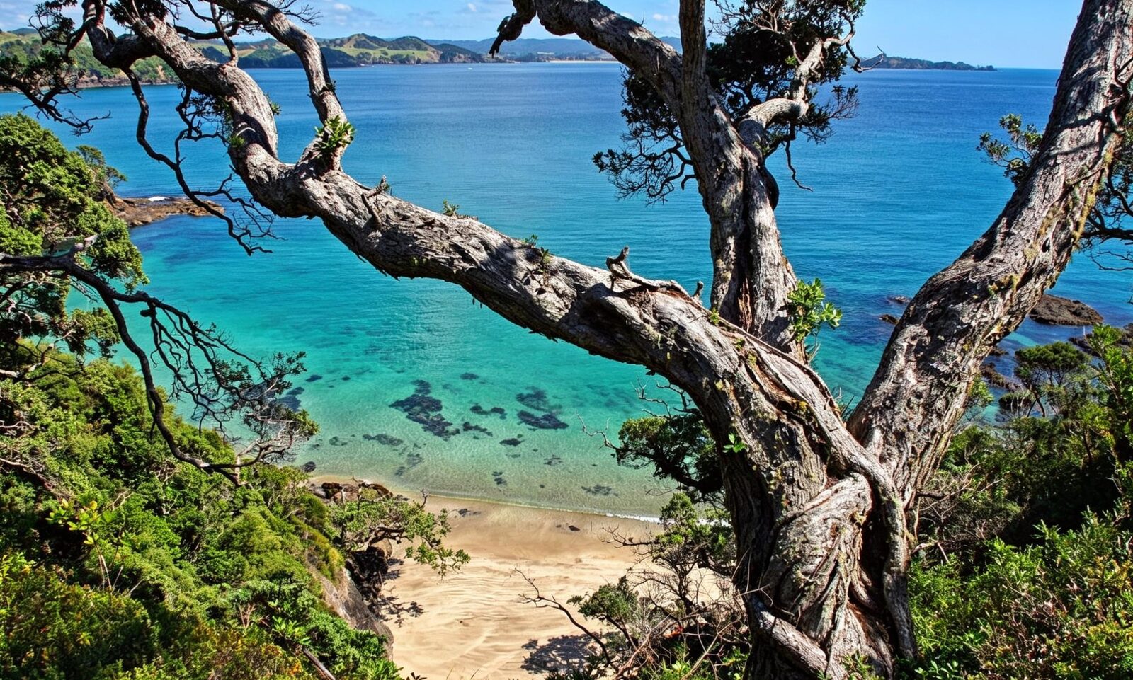 Whale Bay